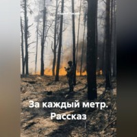 . За каждый метр. Рассказ
