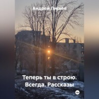 . Теперь ты в строю. Всегда. Рассказы
