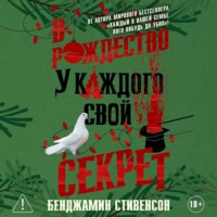 Бенджамин Стивенсон. В Рождество у каждого свой секрет
