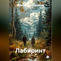Александр Черевков. Лабиринт