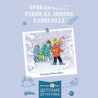 Юлия Бёме. Приключения на зимних каникулах