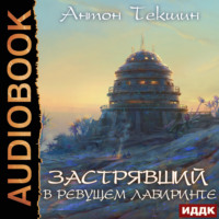 . Застрявший. Книга 4. Застрявший в Ревущем лабиринте