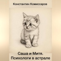 Константин Комиссаров. Саша и Митя. Психологи в астрале