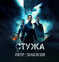 Петр Селезнев. Стужа