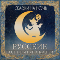 Группа авторов. Сказки на ночь. Русские волшебные сказки