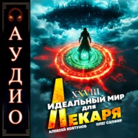 . Идеальный мир для лекаря 28
