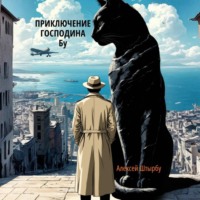 Алексей Викторович Штырбу. Приключения Господина Бу