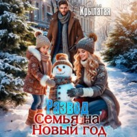 Ника Крылатая. Развод. Семья на Новый год