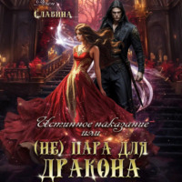 . Истинное наказание, или (не) Пара для Дракона
