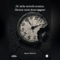 Артем Алексеевич Шапкун. Не жди понедельника. Начни свою революцию