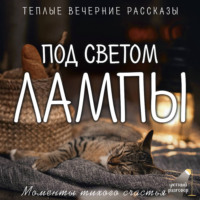 Сергей Нафронович. Под светом лампы: моменты тихого счастья. Теплые вечерние рассказы