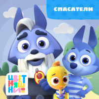 Г. Охота. Спасатели