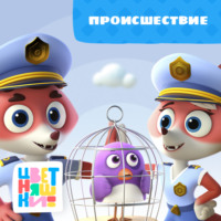 . Происшествие