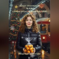 Надежда Устинова. Двери закрываются или станция метро Новогодняя