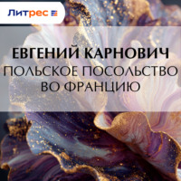 . Польское посольство во Францию