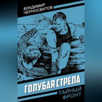 Владимир Черносвитов. Голубая стрела