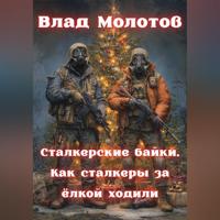 Влад Молотов. Сталкерские байки. Как сталкеры за ëлкой ходили