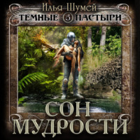 Илья Александрович Шумей. Сон мудрости