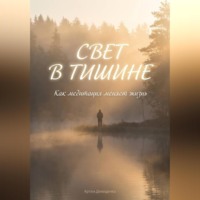 Артем Демиденко. Свет в тишине: Как медитация меняет жизнь