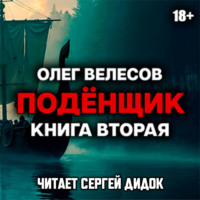 Олег Велесов. Подёнщик. Без права на перезагрузку