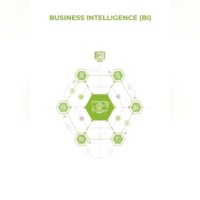 . Business Intelligence (BI)