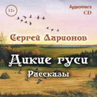 Мордовское Издательство. Дикие гуси. Рассказы
