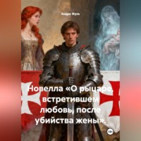 . Новелла «О рыцаре, встретившем любовь, после убийства жены».
