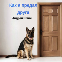 . Как я предал друга