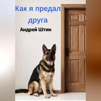 . Как я предал друга