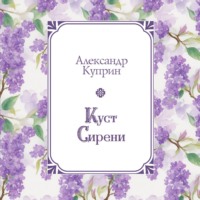 . Куст сирени