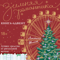 Анастасия Шелест. Лучшее средство от ритуальной метели