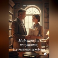 . Мир теней и полутонов, Случайная встреча