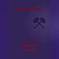 . Хроники Арли. Книга 4. Я мудрец