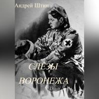 . Слёзы Воронежа