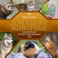 Ос Арутюнян. Домашние животные