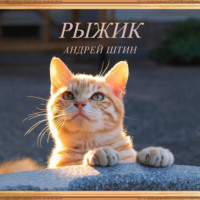 . Рыжик