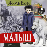 Жюль Верн. Малыш