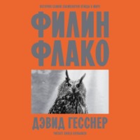 Дэвид Гесснер. Филин Флако. История самой знаменитой птицы в мире