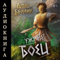 Алекс Бредвик. RPG: Уже не боец. Том 5