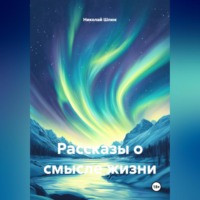 Николай Николаевич Шлюк. Рассказы о смысле жизни.