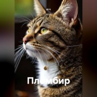. Пломбир