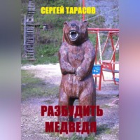 . Разбудить медведя