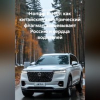 Иван Владимирович Старостин. Hongqi E-HS9: как китайский электрический флагман завоевывает Россию и сердца водителей