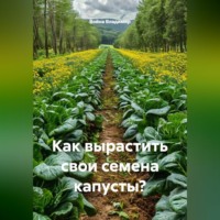 Война Владимир. Как вырастить свои семена капусты?