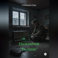 . Позывной «Родник»