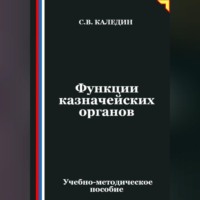 Сергей Каледин. Функции казначейских органов