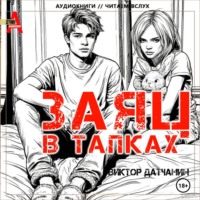 . Заяц в тапках