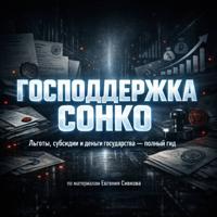 Евгений Владимирович Сивков. СОНКО-2026: как получить поддержку и не попасть под проверку