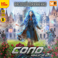. Соло. Книга 2