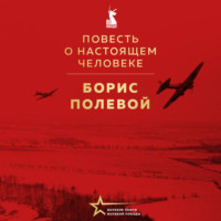 Борис Полевой. Повесть о настоящем человеке